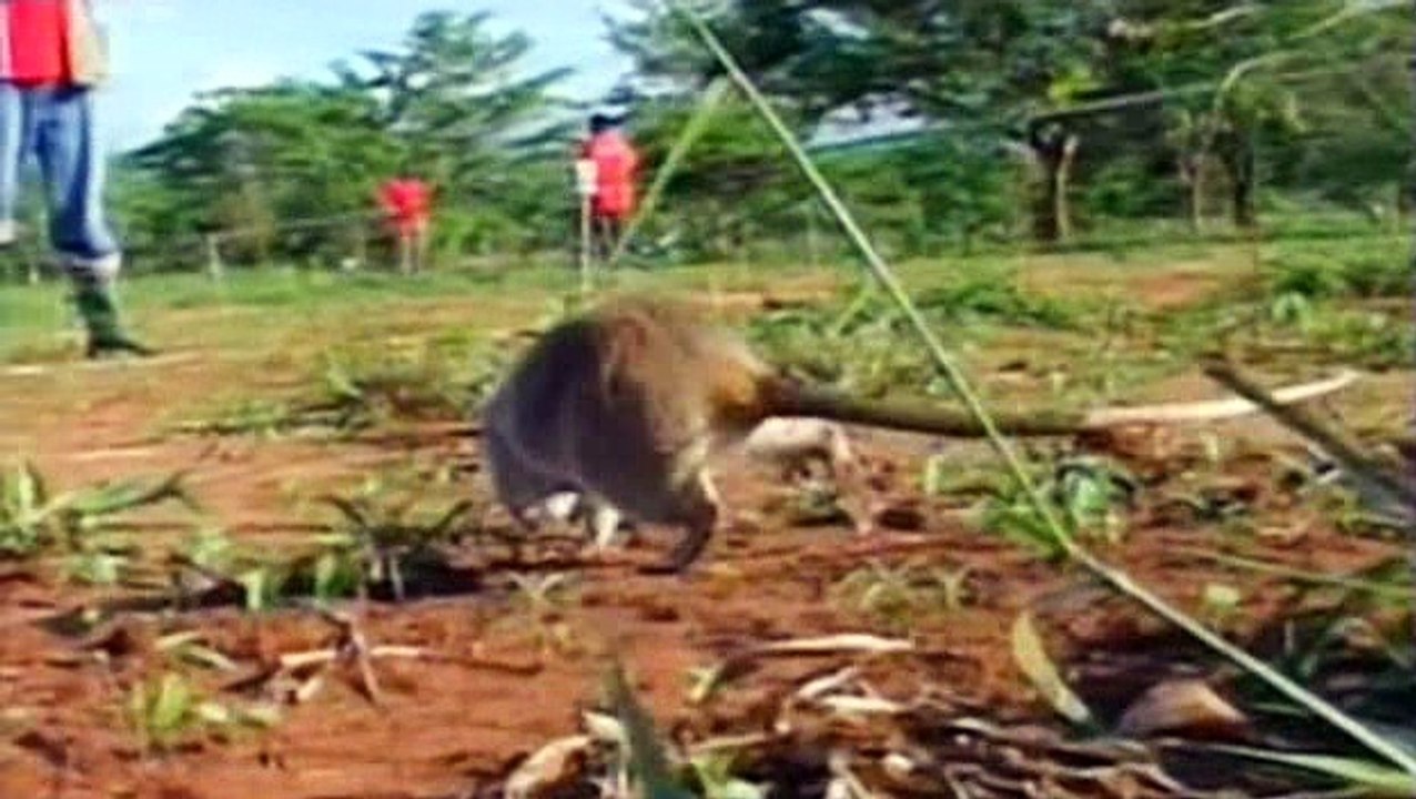 Élet Az Emberek Után S02e04