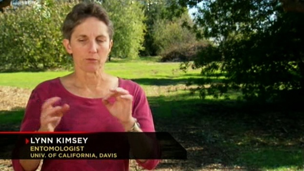 Élet Az Emberek Után S02e05