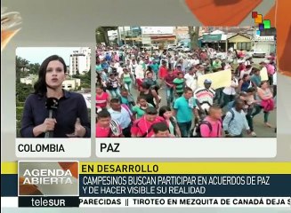 Colombia: nace Coordinadora Nacional de Coca, Amapola y Marihuana