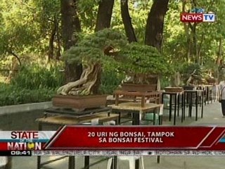 SONA: 20 uri ng Bonsai, tampok sa Bonsai Festival