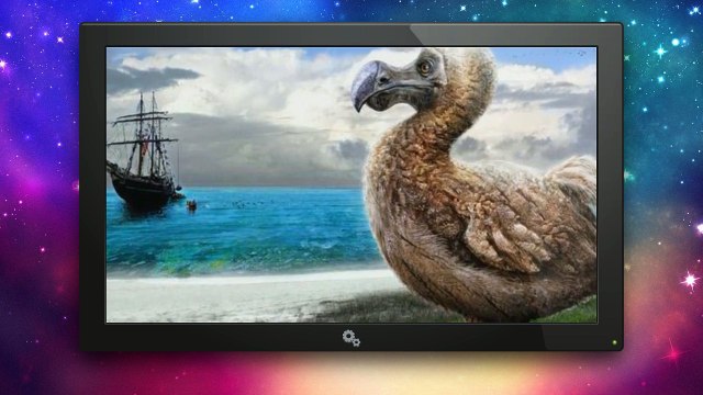 5 animais INSANOS que não existem mais