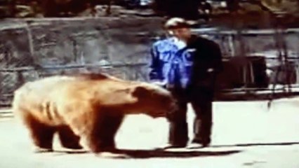 5 ATAQUES CHOCANTES DE ANIMAIS CONTRA HUMANOS