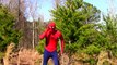 Super Hero | Розовый против Catwoman Девушка-паук против Человека-паука ребенка похитили в парке