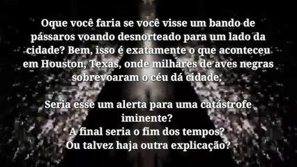 Milhares de aves negras São filmadas voando desnorteadas no Texa.