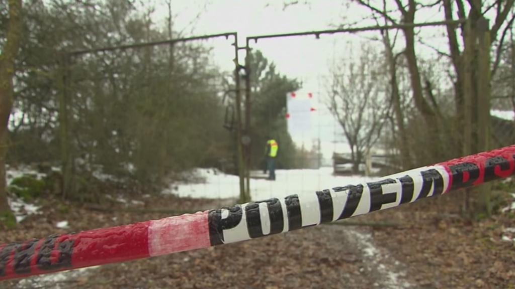 Video Mistero in Germania: sei giovani ritrovati morti dopo una festa