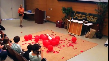 40 Saniyeden Kısa Sürede 100 Balonu Patlatan Köpek