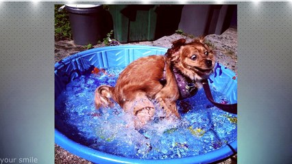 100 ФОТО СДЕЛАННЫХ В НУЖНЫЙ МОМЕНТ Funny Photos Taken At Right Moments  Funny Moments