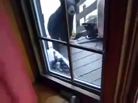 ПРИКОЛЫ и НЕУДАЧИ 2015 БОЛЬШАЯ видео подборка приколы 2015 // Best Funny Fails Compilation 2015 #65