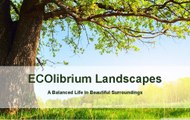 Sydney Landscape Contractors | Landscape Design | ECOlibrium Landscapes