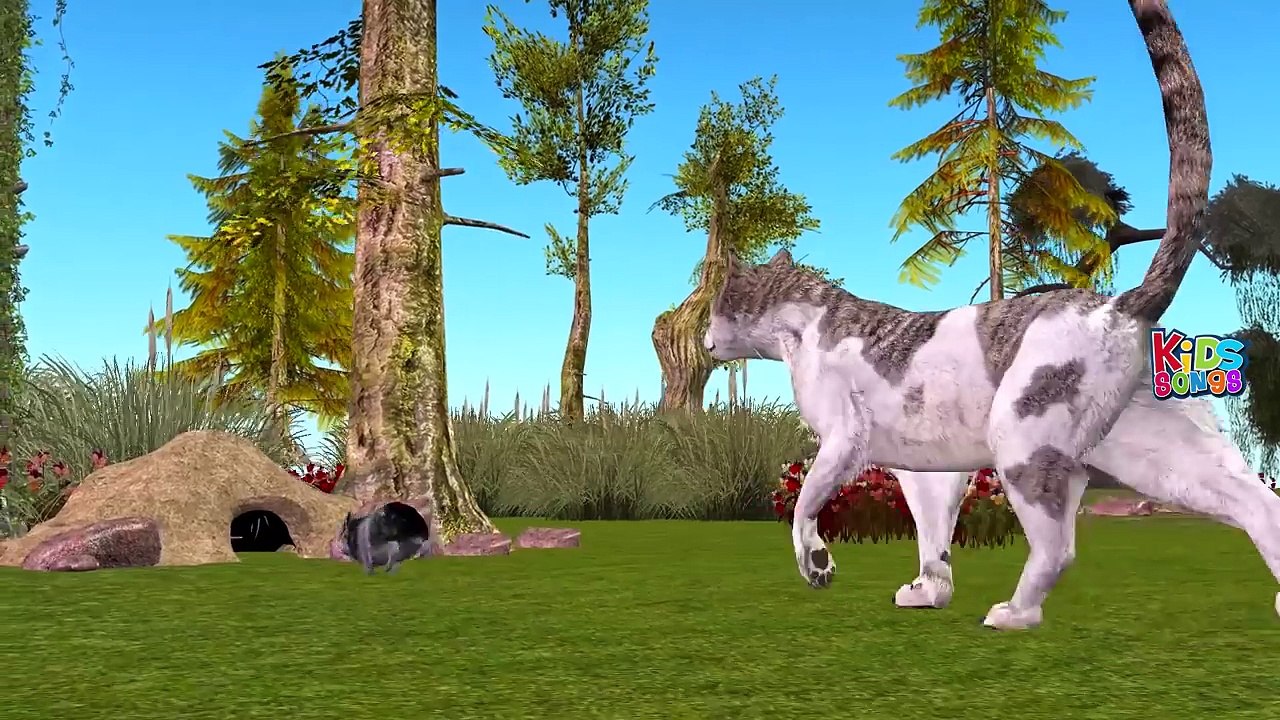 Animals Mega Finger Family Songs Collection | Wild Animals Finger Family Nursery Rhymes For Kids