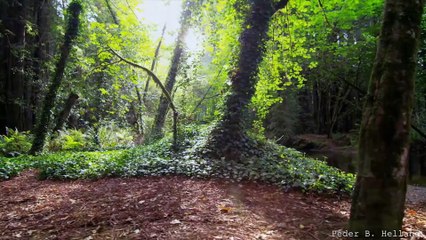 Fascinantes lugares del mundo para acampar