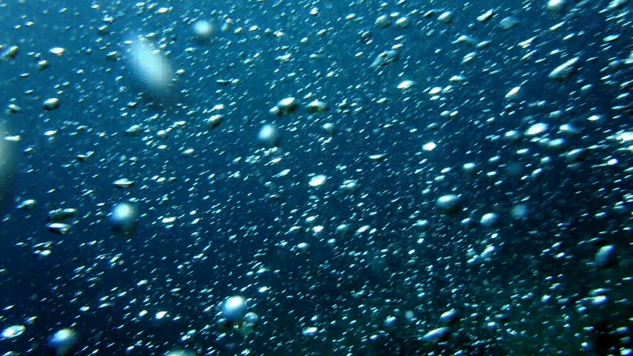 Everyone swimming at reef in Loo Key