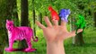 Colors Dinosaurs Finger Family Childrens Songs | Tiger Finger Family Nursery Rhymes For Children