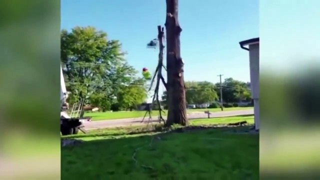 ПРИКОЛЫ ДО СЛЕЗ #15 ДЕКАБРЬ 2016 Русские Приколы Эту страну не победить Смешные видео