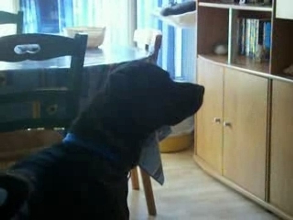 Kyser et la musique (1)