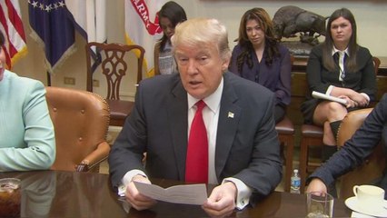 ترامب يقلل من أهمية احتجاز الاشخاص في المطارات الامريكية بعد منع مواطني سبع دول مسلمة من دخول بلده