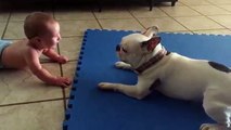 Un chien tourne en rond pour amuser un bébé