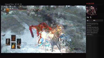 Darksouls pvp (9)