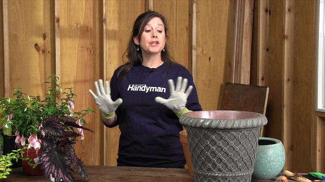 Container Gardening Tips