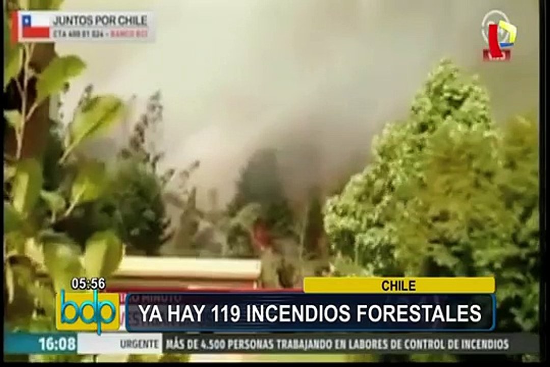 Chile: incendios forestales afectan más de 360 mil hectáreas