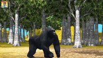 Crazy Gorilla VS Bear Finger Family | Animals Cartoons Finger Family Rhymes