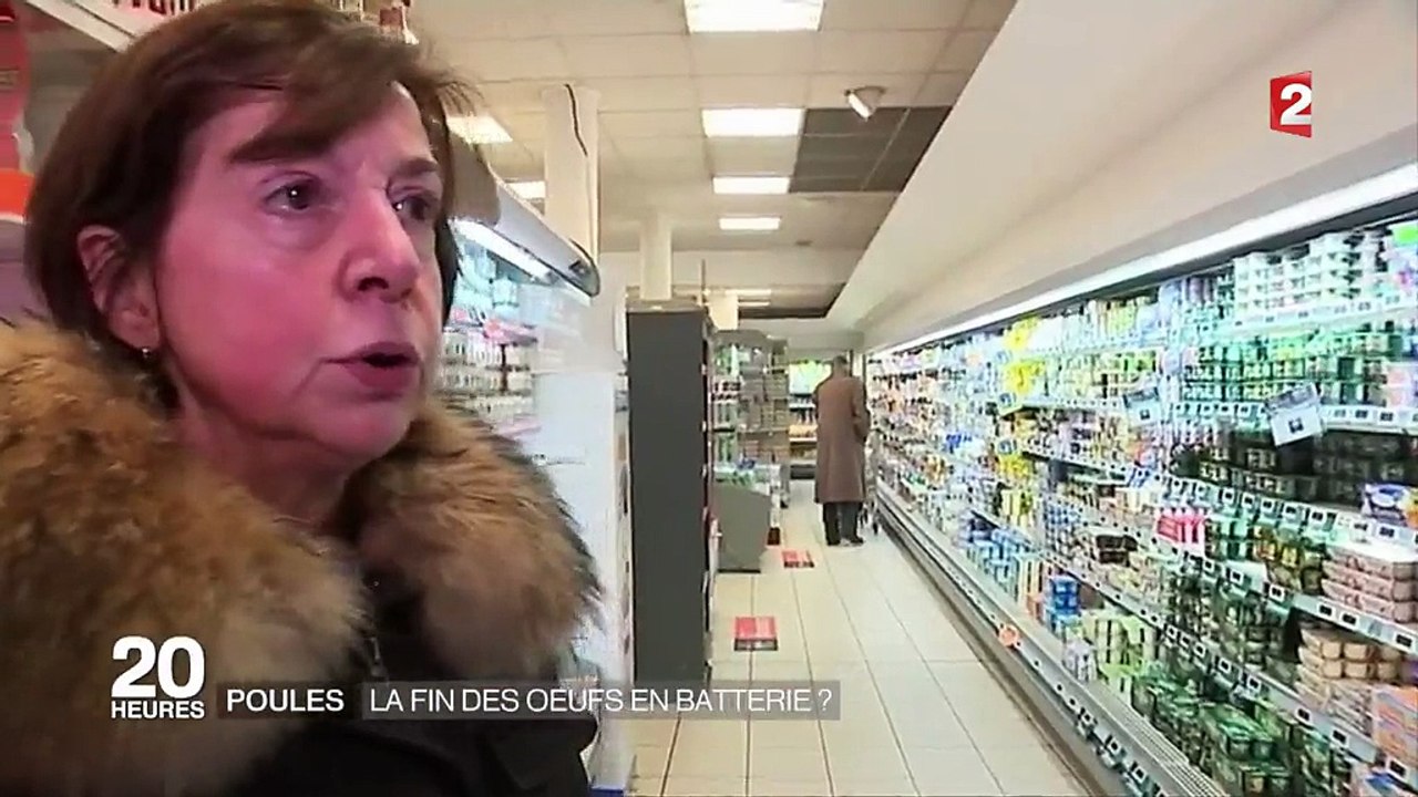 Poules : la fin des œufs en batterie ?