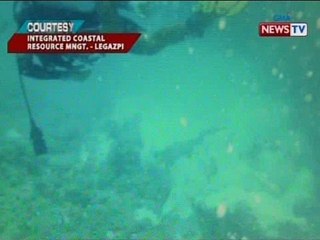 SONA: 2,000 sq.m ng Denson Reef sa Albay Gulf, napinsala sa pagsadsad ng Vietnamese vessel
