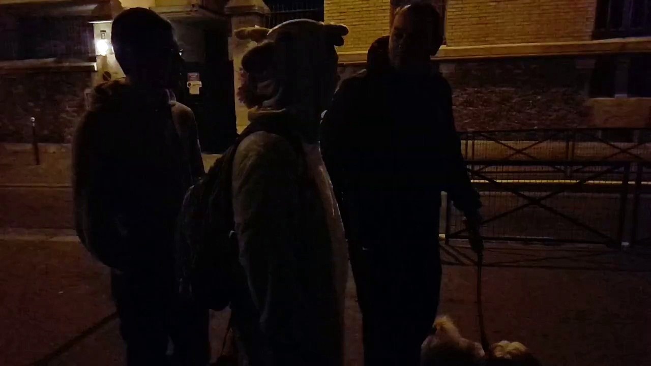 Passacorne dans les rues de Paris en octobre 2016 (2/3)