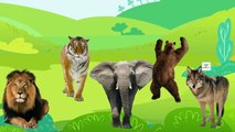 Animals Cartoons Finger Family Children Nursery Rhymes Animals Finger Family Rhymes for Kids