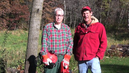 How to Cut Down a Tree