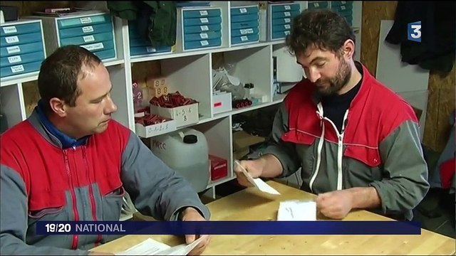 Lactalis rompt les contrats d'agriculteurs ayant témoigné sur France 2