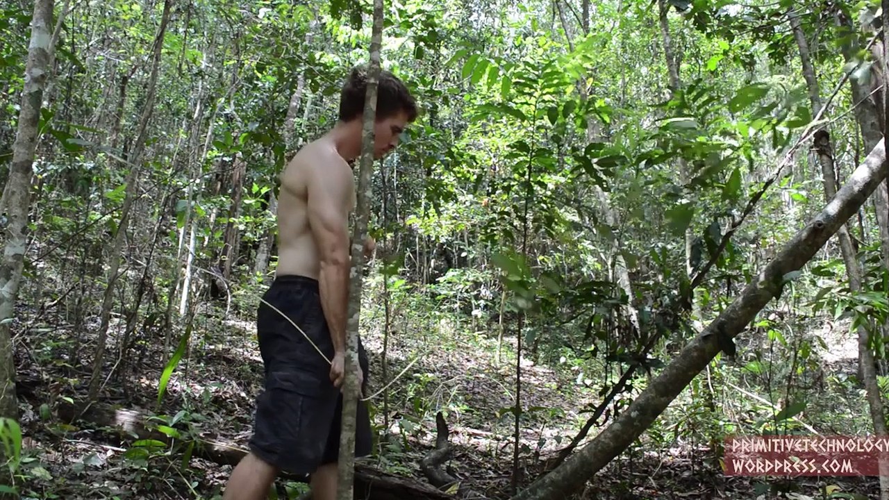 How To Build A Primitive Hut