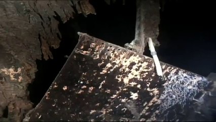 El Titanic Explorandolo Despues del Hundimiento. En HD