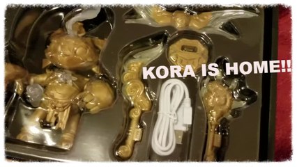 LIGHTSEEKERS Limited Edition KORA Beta Figure QUICK LOOK .. Thank You PlayFusion!!