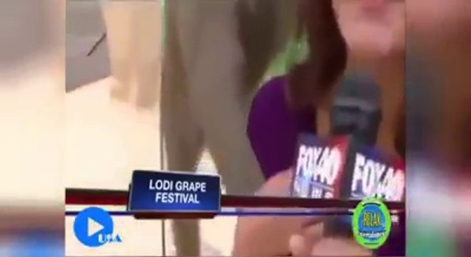 Animais que são verdadeiros marotos quando estão perto de mulheres