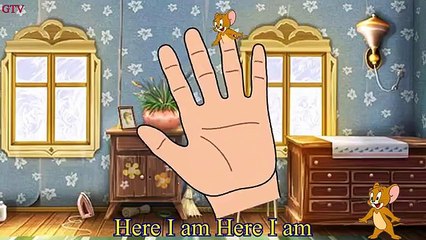 Top Finger Family Collection | 21 Daddy Finger Nursery Rhymes songs | 20 Minutes Compilation