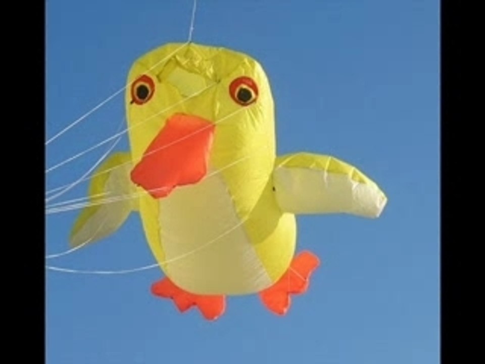Andefilm (Duckmovie)