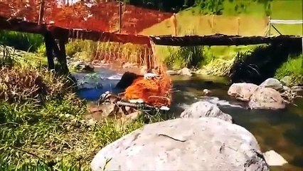 ПРИКОЛЫ и неудачи 2015 май Ржач!!!