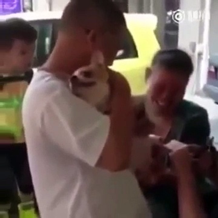 Реакция собаки на педикюр