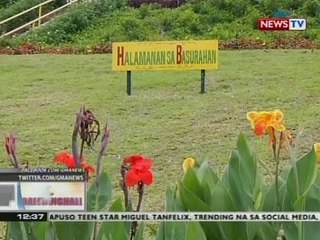 BT: Ecological park na "Halamanan sa Basurahan," itinayo sa Payatas