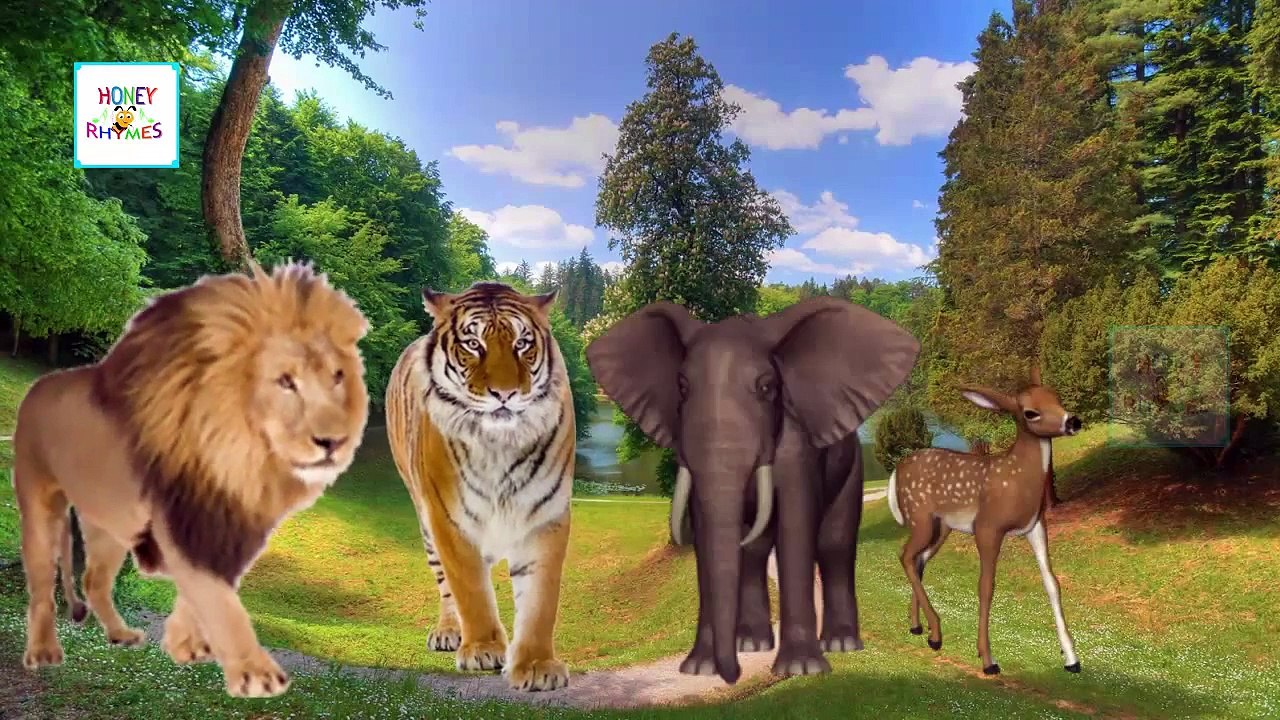 Finger Family Animals | Fruits And Animals Cartoon Children Finger Family Nursery Rhymes Collection