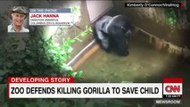 Gorilla Shot killed at Zoo? opinions please?