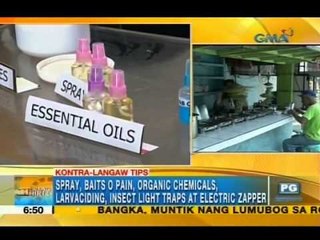 Natural remedies to get rid of houseflies | Unang Hirit