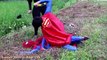 SPIDERMAN vs SUPERMAN vs BATMAN - Fun Superhero Battle in Real Life | Superhero Movie