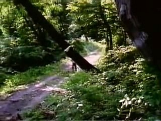 엠카지노주소で／／ ＧＭ５５４。COM  ／／ね바카라시스템