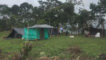 Gobierno colombiano y FARC se preparan para recibir guerrilleros en zonas veredales transitorias de normalización