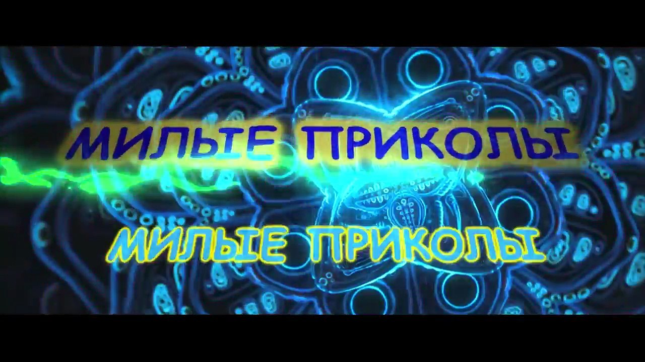 Забавные обезьянки.#6.Amusing monkeys.#6.