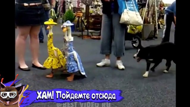 НЕ ДЕТСКИЕ ПРИКОЛЫ 2016 ЛУЧШИЕ ДЕКАБРЬ Смешные Видео