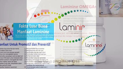 0812-8899-4755 (Ibu Stevani),Harga Distributor Laminine,Harga Laminine Termurah