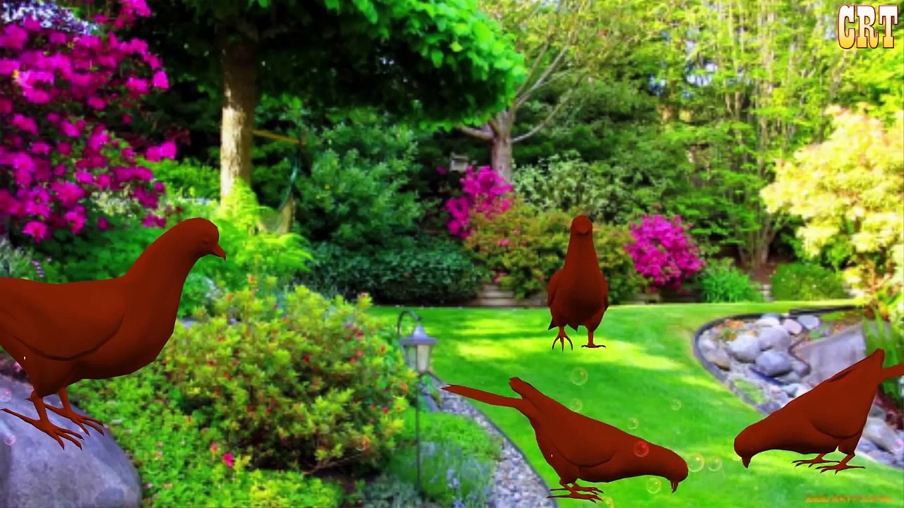 Colourful Colour Song || Children Rhymes For Nursery Rhymes Collection